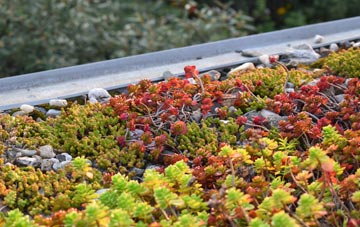 the cost of Killeter green roof installation