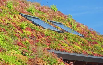 Killeter living roof systems