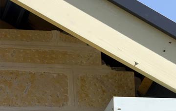 soffit repair Killeter
