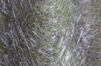 Killeter fibreglass roof work